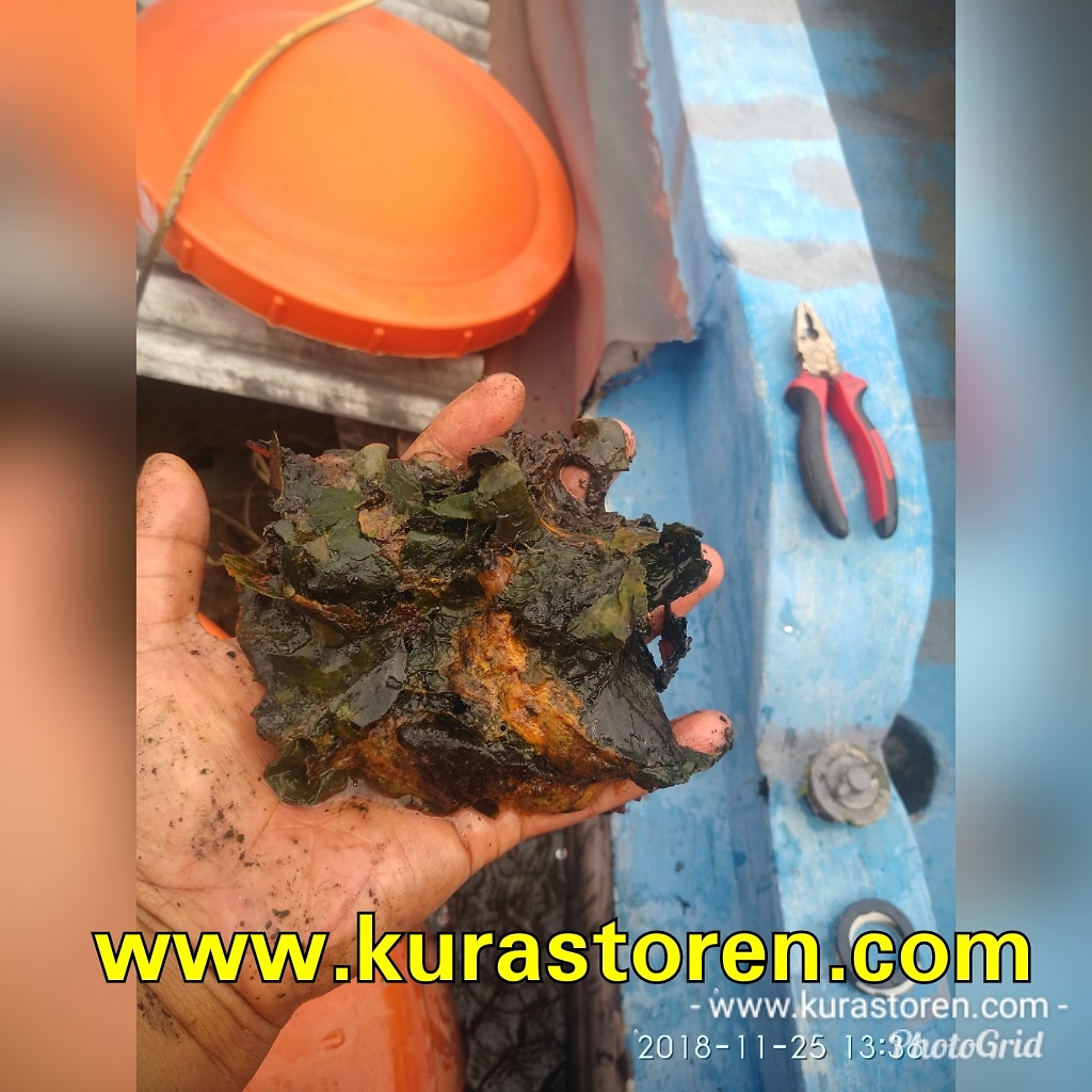 jasa kuras toren marga jaya bekasi