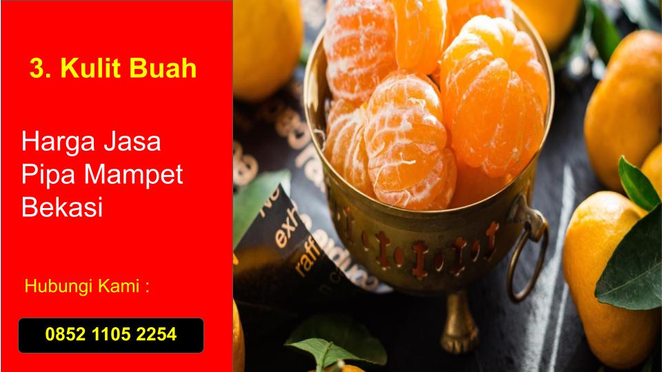 Kulit Buah Penyumbat Air Pipa