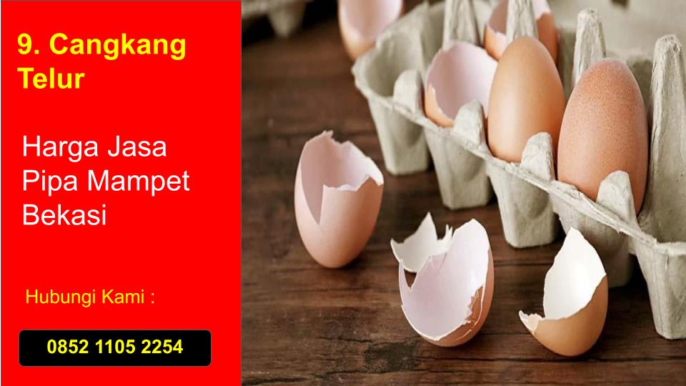 Cangkang Telur Penyebab Penyumbah Air Pipa