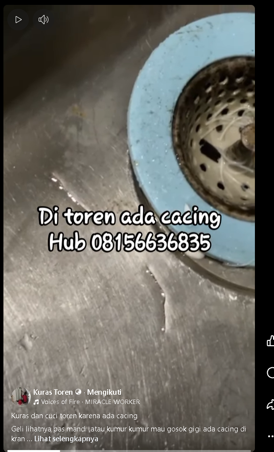 SOLUSI CACING DI DALAM TOREN ATAU TANDON ANDA